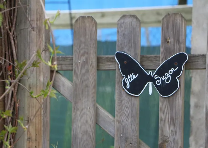 Suzon à Peyroutas St Emilion Vignonet